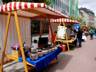 Foto 75035 im Album