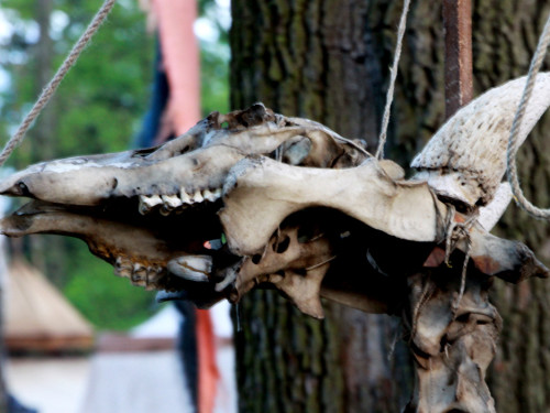 9. Burgfest am Labyrinth Freitag Abends – Foto 40