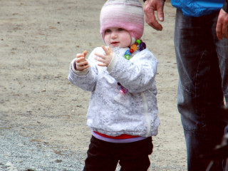 Foto 77114 im Album