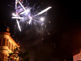 Foto 77657 im Album
