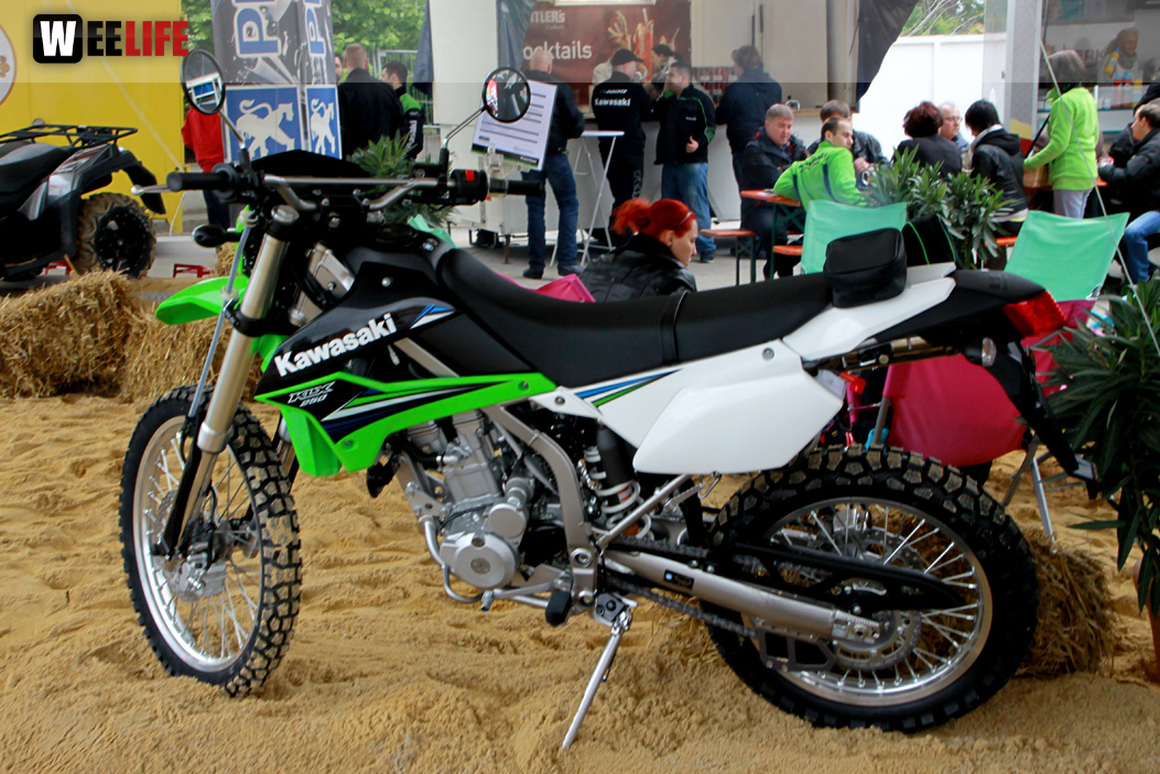 Kawasaki Party Night