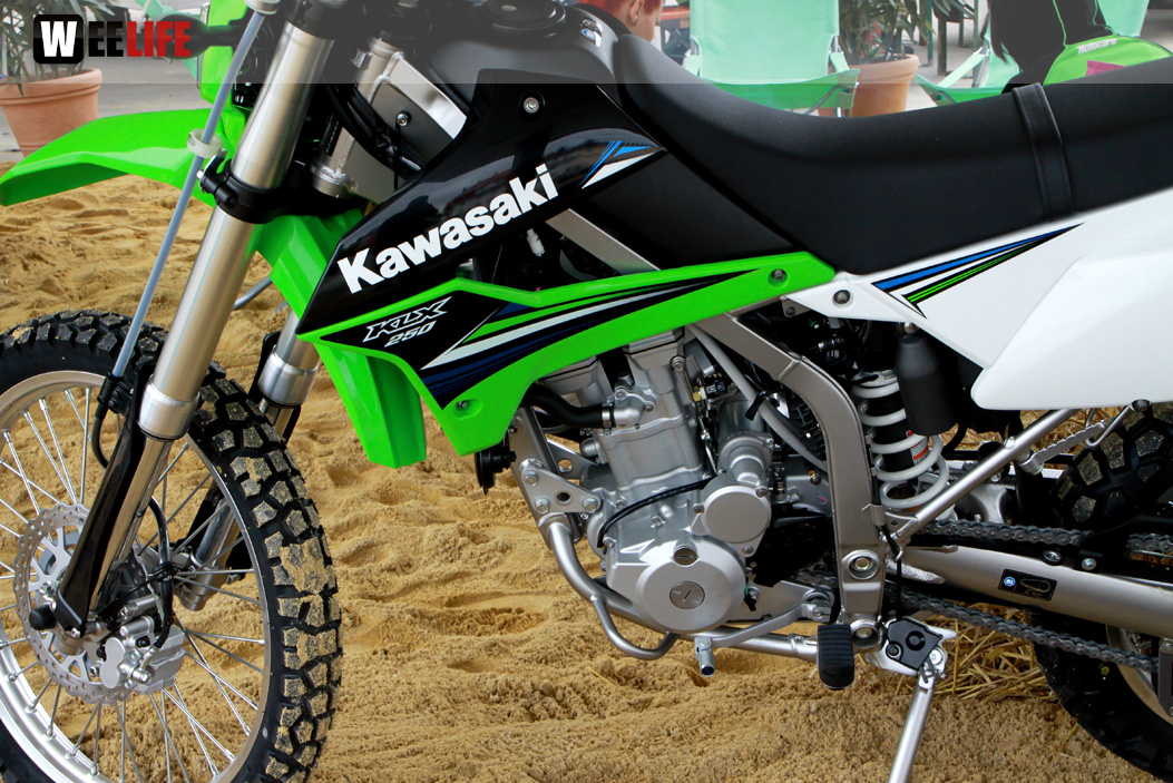 Kawasaki Party Night