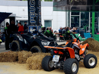 Foto 78748 im Album
