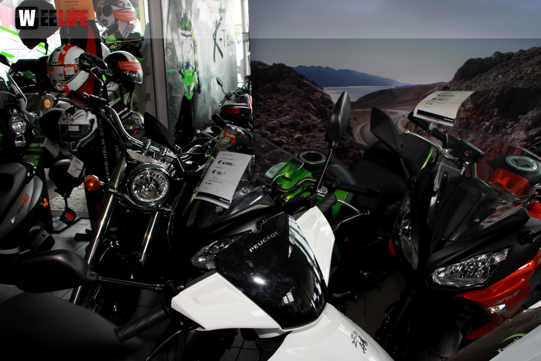 Kawasaki Party Night