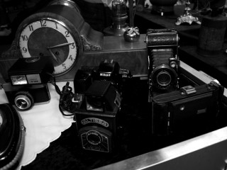 Foto 78830 im Album
