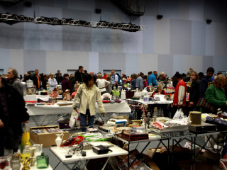 Foto 78896 im Album