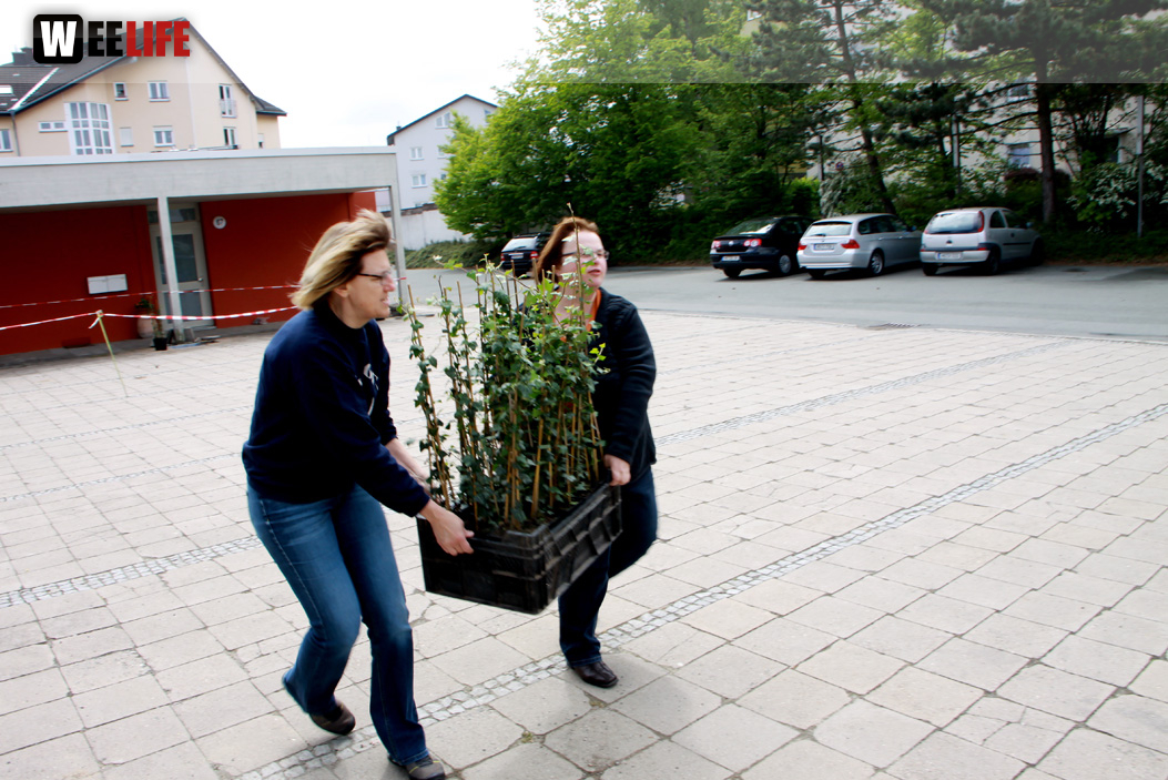 Pflanzaktion Grillen und Theater Gesang