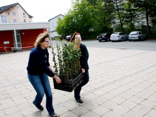 Pflanzaktion Grillen und Theater Gesang – Foto 9