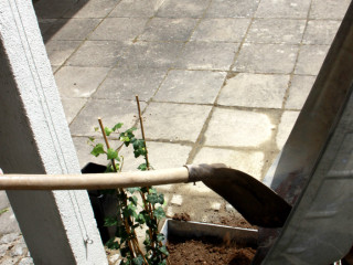 Foto 78994 im Album