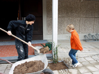 Foto 79000 im Album
