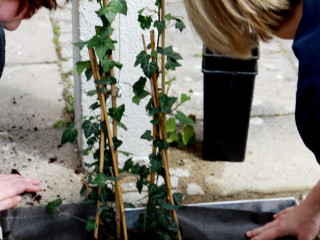 Foto 79003 im Album