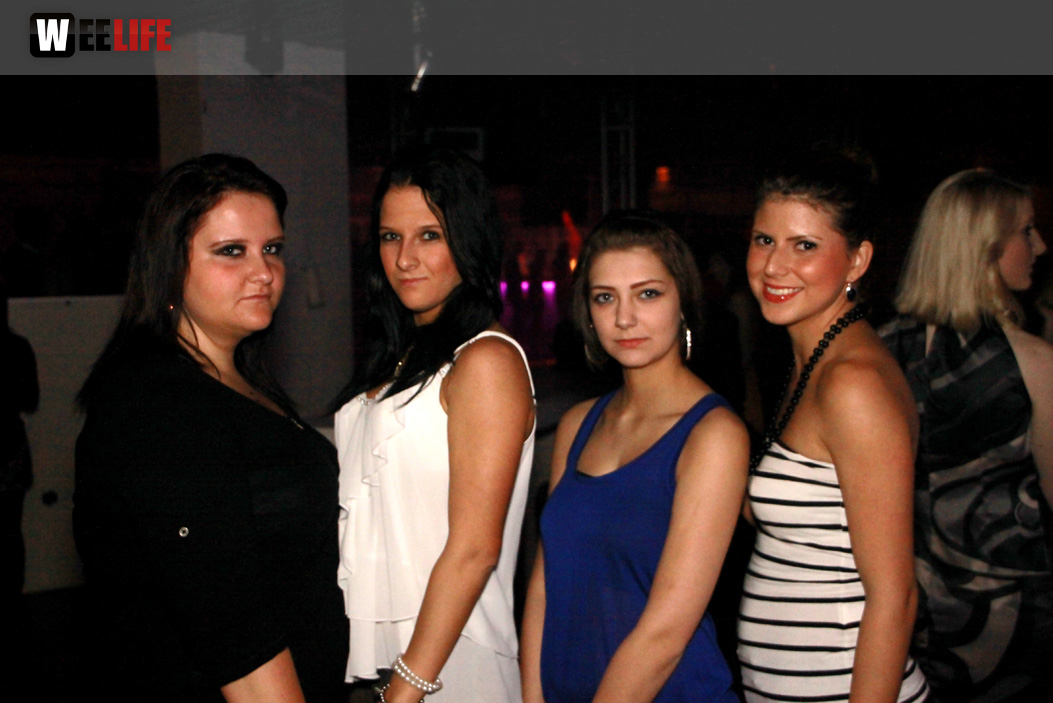 Wild Chicks