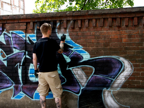 Hoftex Graffiti Die Mauer muss Bunt – Foto 27