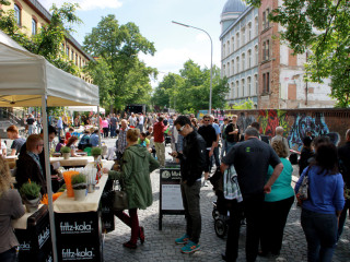 Foto 81038 im Album