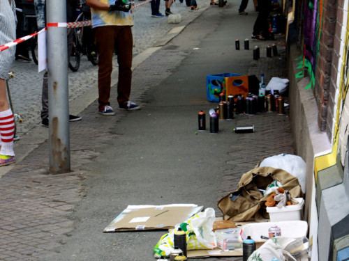 Hoftex Graffiti Die Mauer muss Bunt – Foto 53