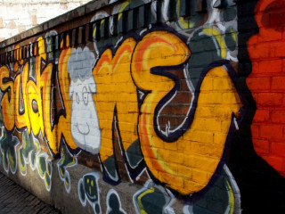Foto 81243 im Album