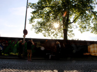 Foto 81252 im Album