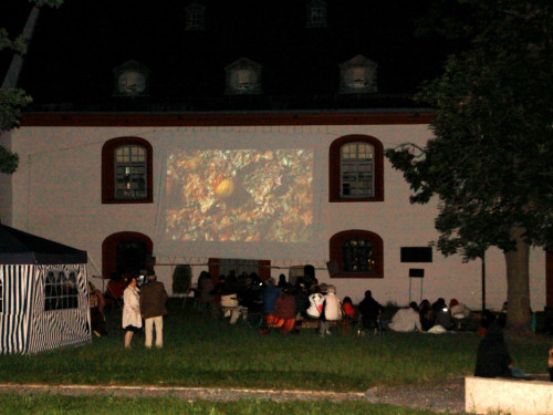 Uferflimmern – Foto 13
