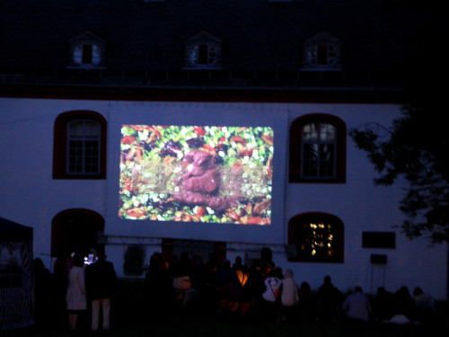 Uferflimmern – Foto 14