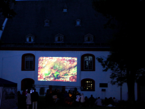 Uferflimmern – Foto 15