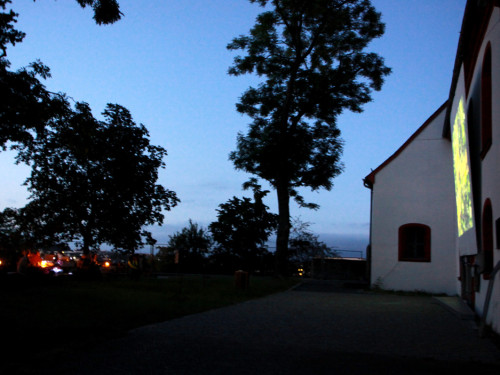 Uferflimmern – Foto 18