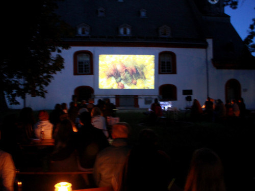 Uferflimmern – Foto 19