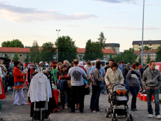 Foto 83138 im Album