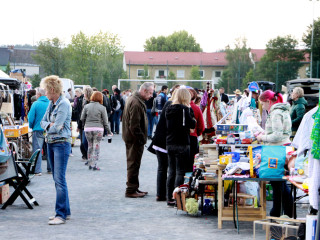 Foto 83169 im Album