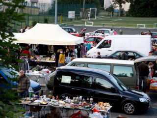 Foto 83178 im Album