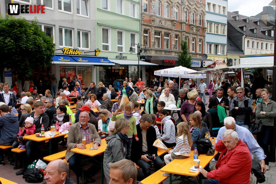 19.Int.Hofer Stabhochsprung Meeting