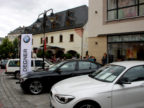 19.Int.Hofer Stabhochsprung Meeting – Foto 44