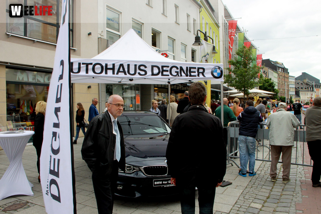 19.Int.Hofer Stabhochsprung Meeting