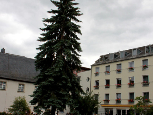 Sommerfest Abends mit Band Obacht 21.6.2014 – Foto 42