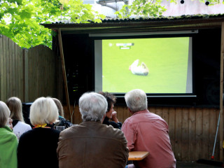 Foto 85241 im Album