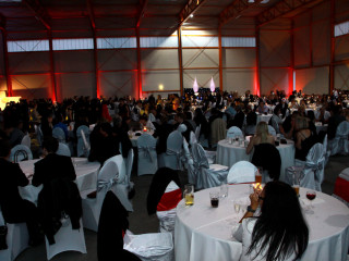 Foto 86021 im Album