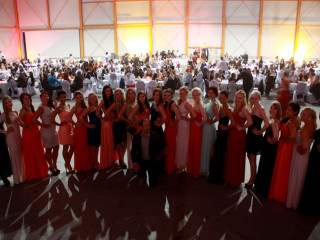 Foto 86051 im Album