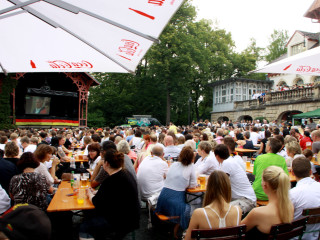 Foto 87287 im Album