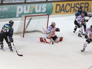 Foto 8765 im Album