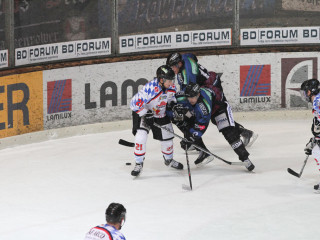 Foto 8772 im Album