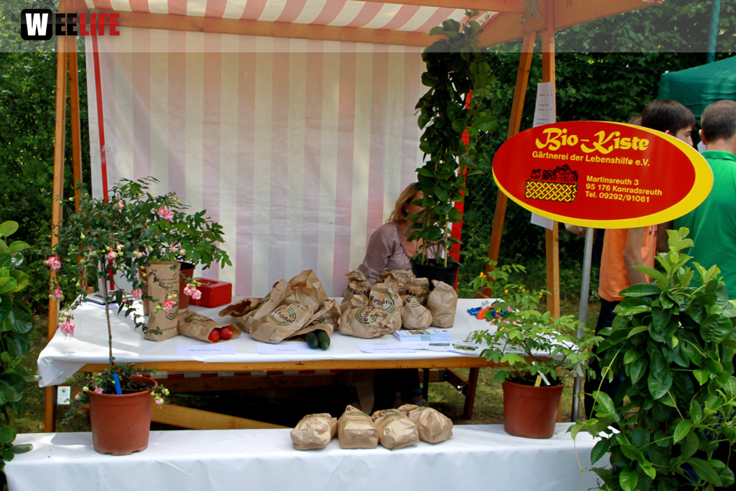Kunterbuntes Sommerfest