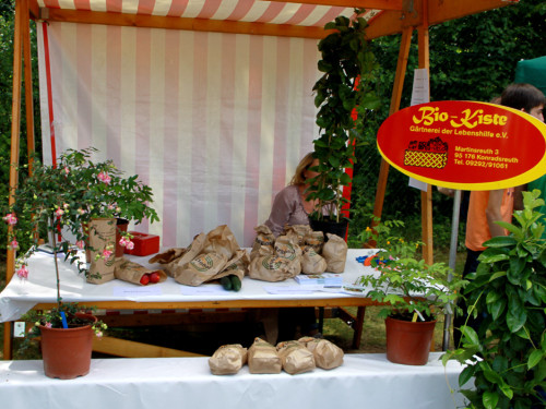 Kunterbuntes Sommerfest – Foto 31