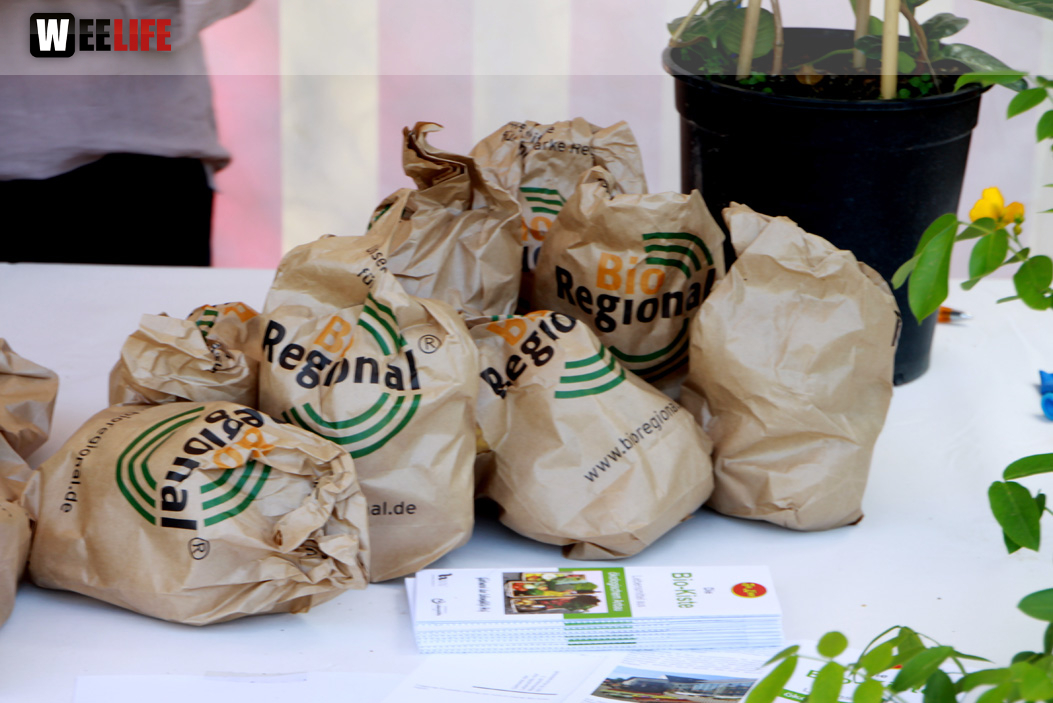 Kunterbuntes Sommerfest