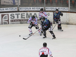 Foto 8792 im Album
