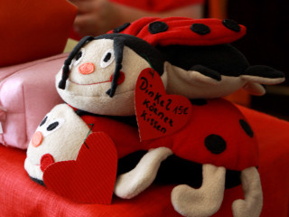 Foto 88024 im Album