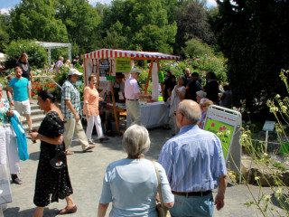 Foto 88100 im Album
