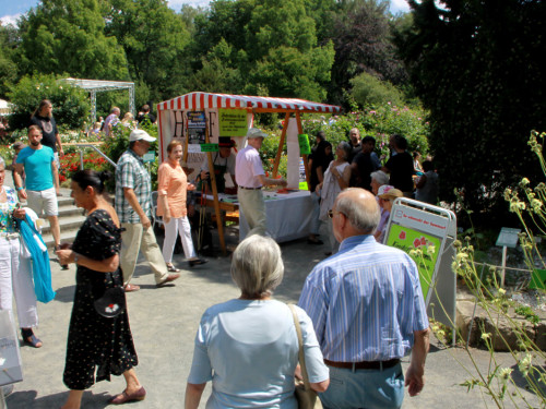 Rosenfest  – Foto 4