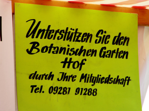 Rosenfest  – Foto 5