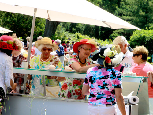 Rosenfest  – Foto 7