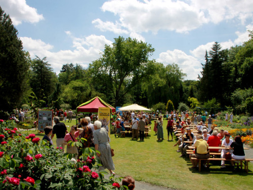 Rosenfest  – Foto 9