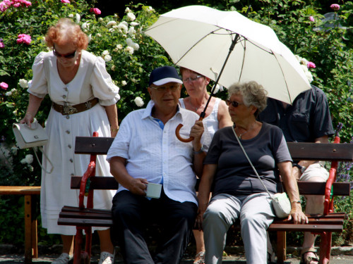 Rosenfest  – Foto 20